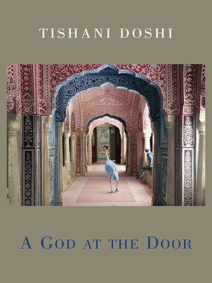 cover image of A God at the Door